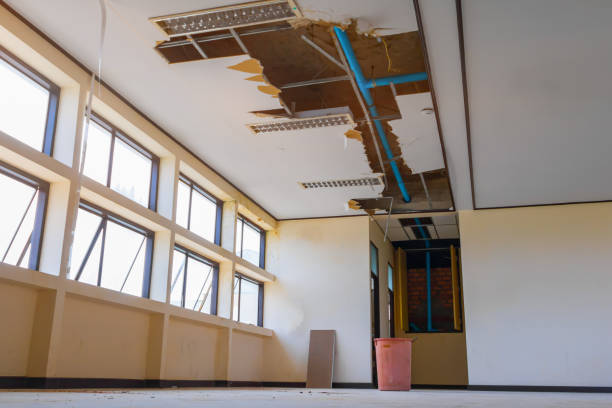 Best Water damage restoration specialists  in La Grange, IL