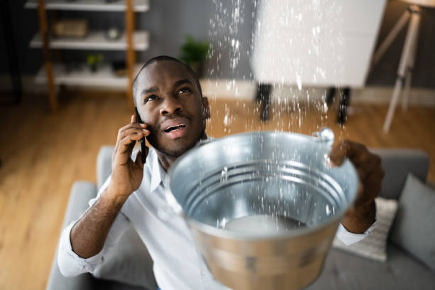 Best Local water damage restoration  in La Grange, IL