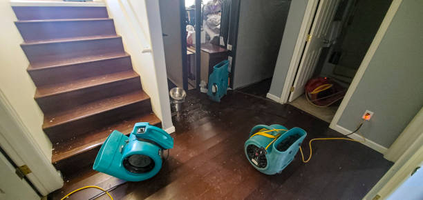 24/7 water damage repair in La Grange, IL
