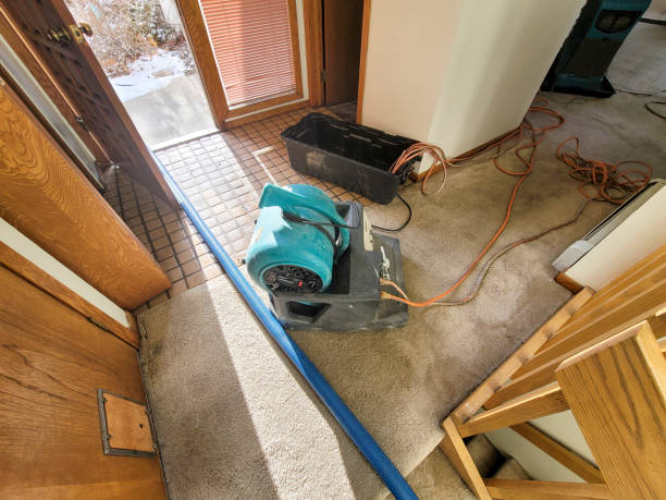 Best Water damage cleanup near me  in La Grange, IL