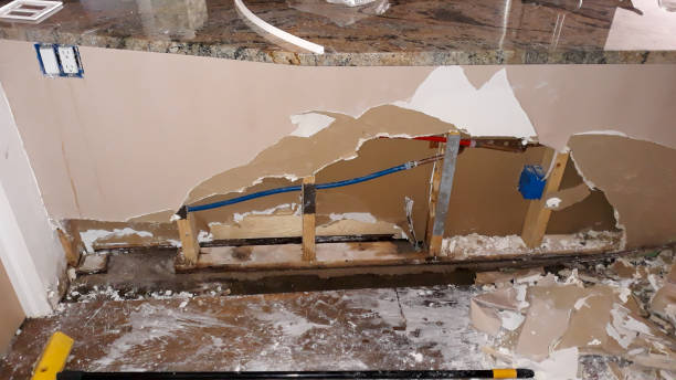 Best Water damage cleanup near me  in La Grange, IL