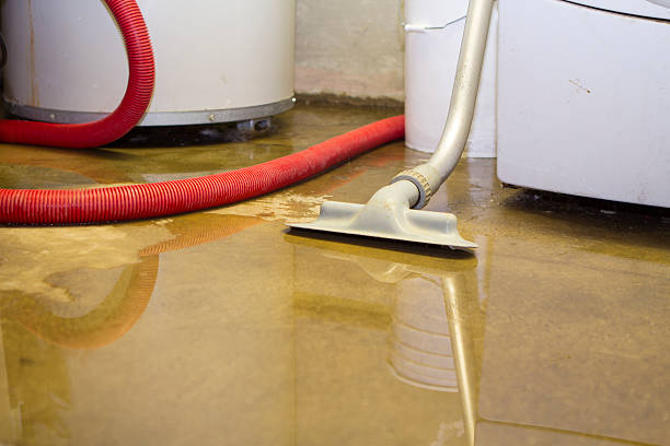 Reliable La Grange, IL Water damage restoration Solutions