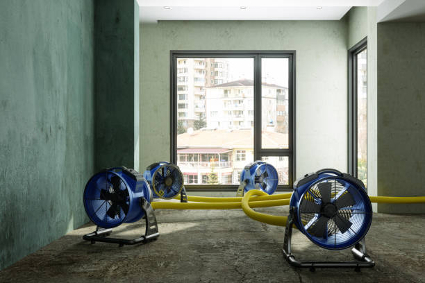 Best Basement water damage restoration  in La Grange, IL