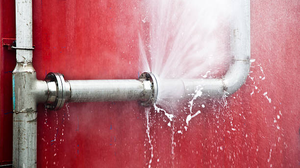 Best Water damage contractors near me  in La Grange, IL